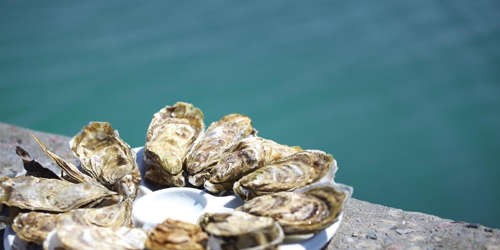 Dégustation d'huîtres sur le port de Cancale